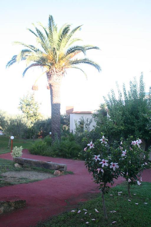Nea Kydonia Suites & Studios Δαράτσο Εξωτερικό φωτογραφία