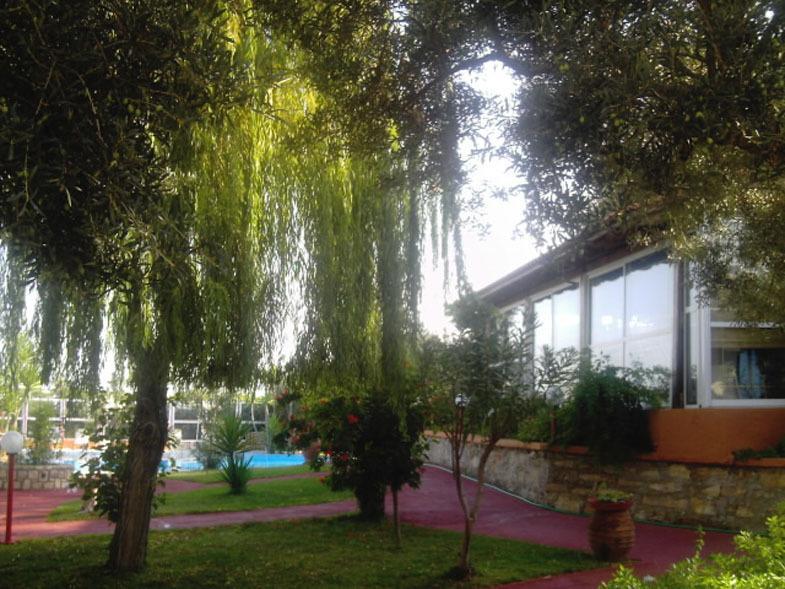Nea Kydonia Suites & Studios Δαράτσο Εξωτερικό φωτογραφία